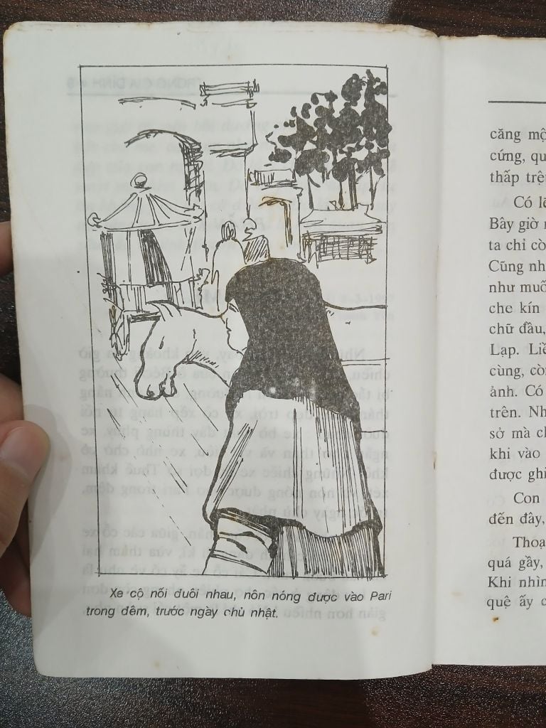 Trọng tài gà đình - HEC TO MA LO - Ảnh thực tế 7
