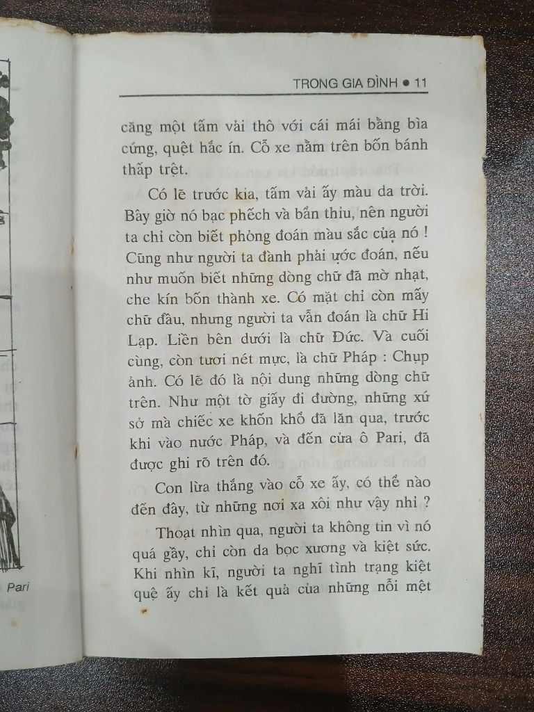 Trọng tài gà đình - HEC TO MA LO - Ảnh thực tế 8