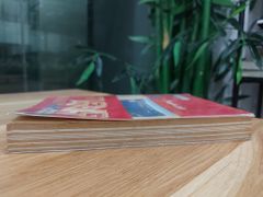 Tuyển Tập 240 Bài Luận Mẫu Tiếng Anh - ảnh 4