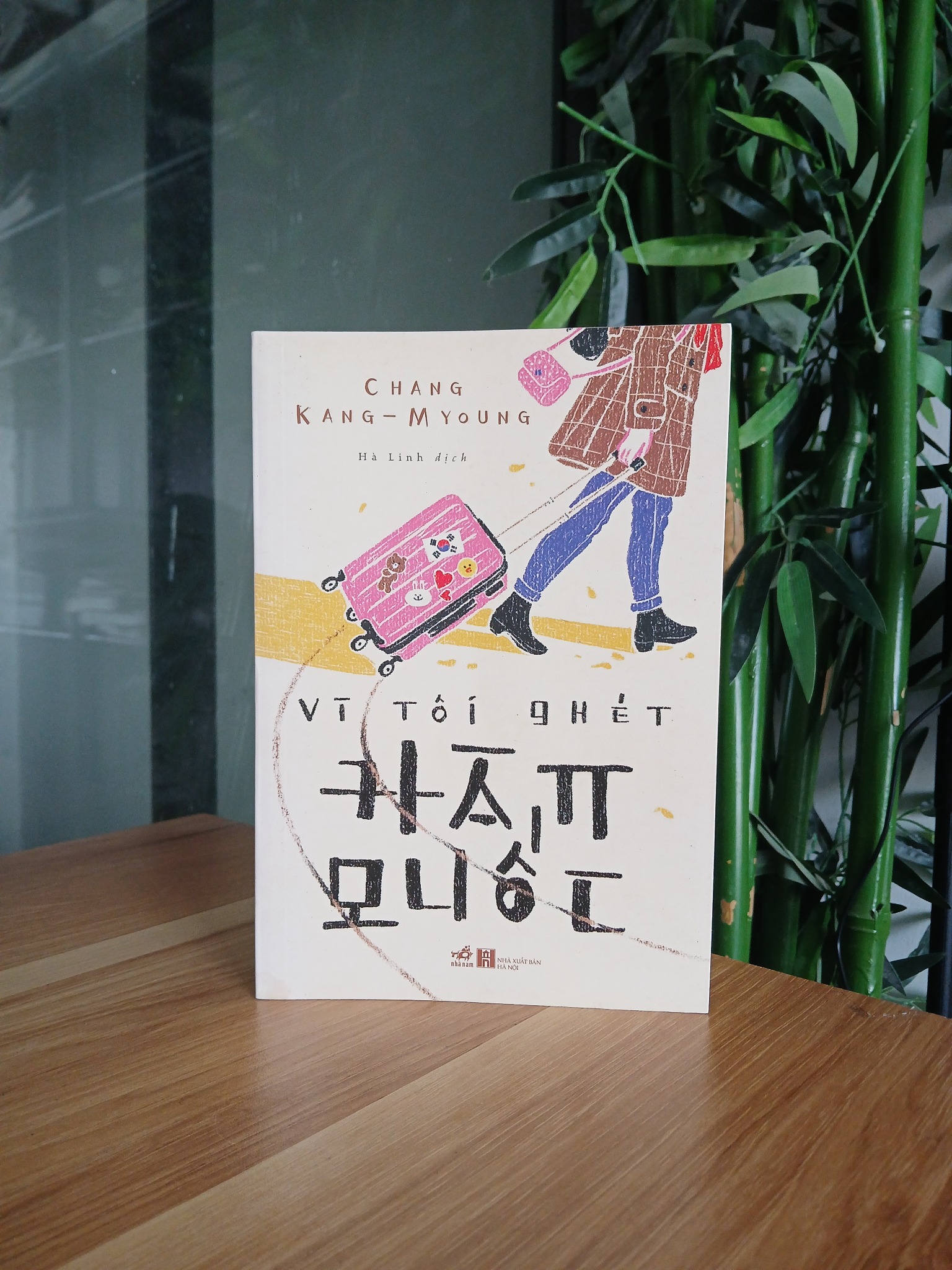 Vì Tôi Ghét Hàn Quốc