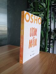 Ươm Mầm - ảnh 2