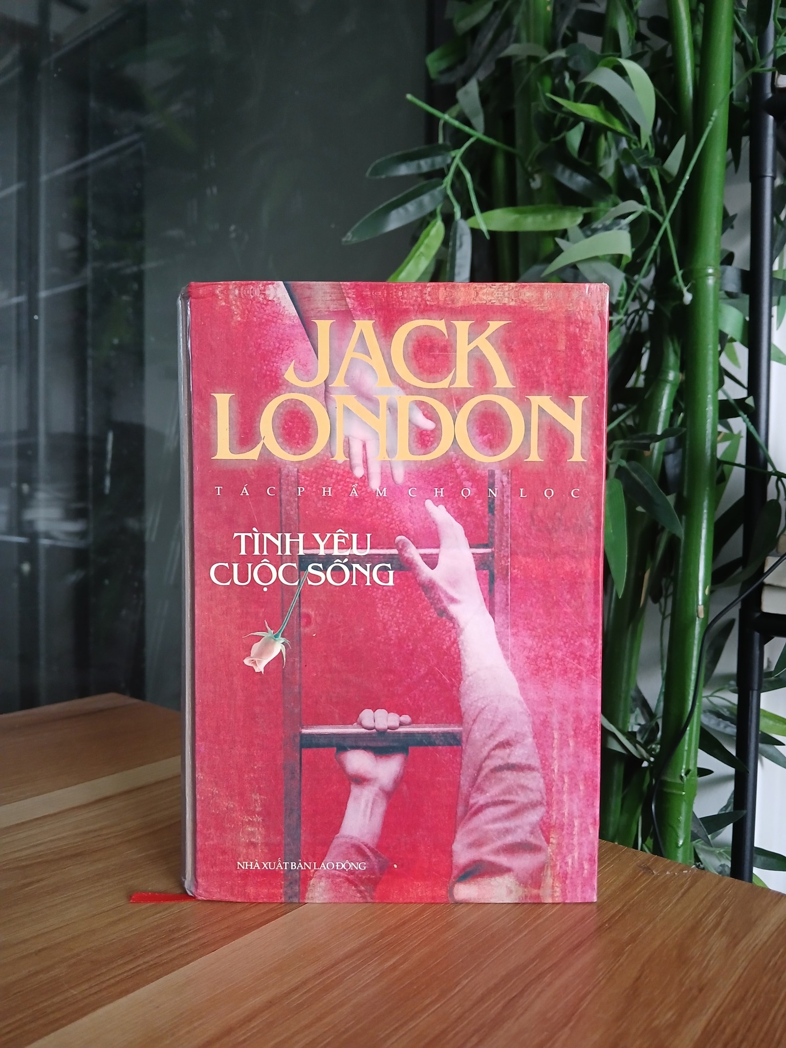 Tình Yêu Cuộc Sống – Jack London