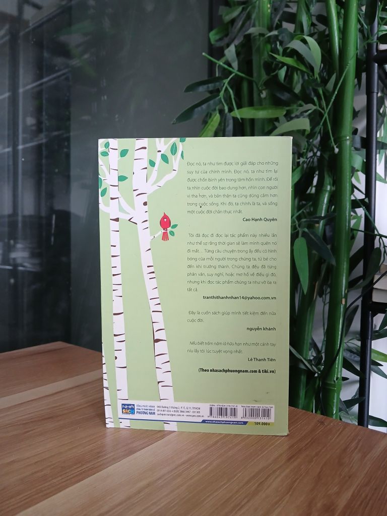 Nếu Biết Trăm Năm Là Hữu Hạn - Phạm Lữ Ân - Ảnh thực tế 3
