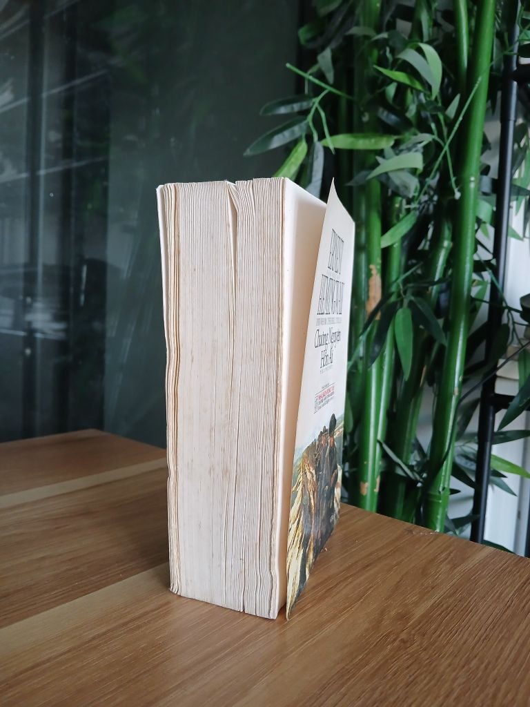 Chuông Nguyện Hồn Ai - Ảnh thực tế 4