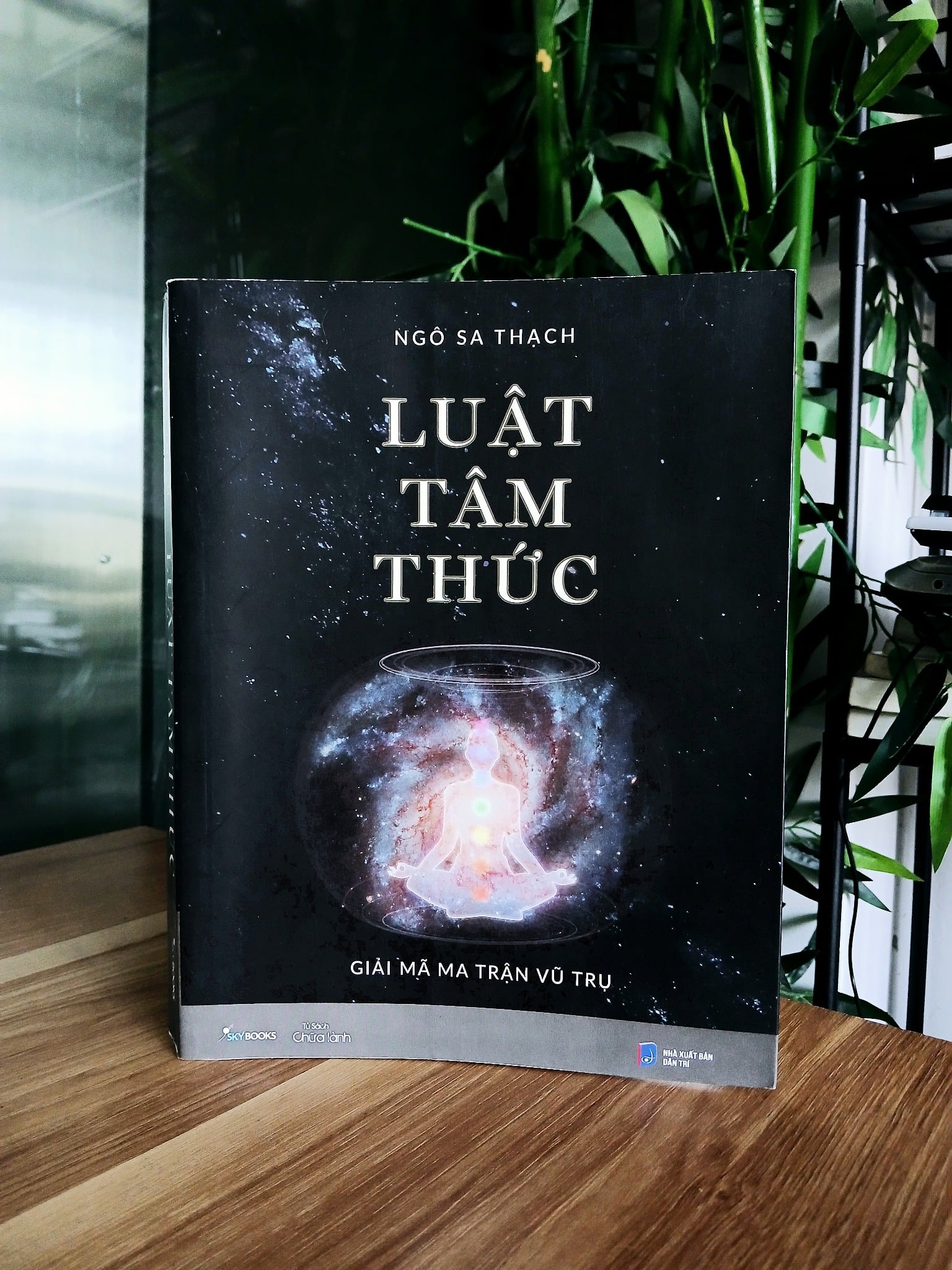 Luật Tâm Thức