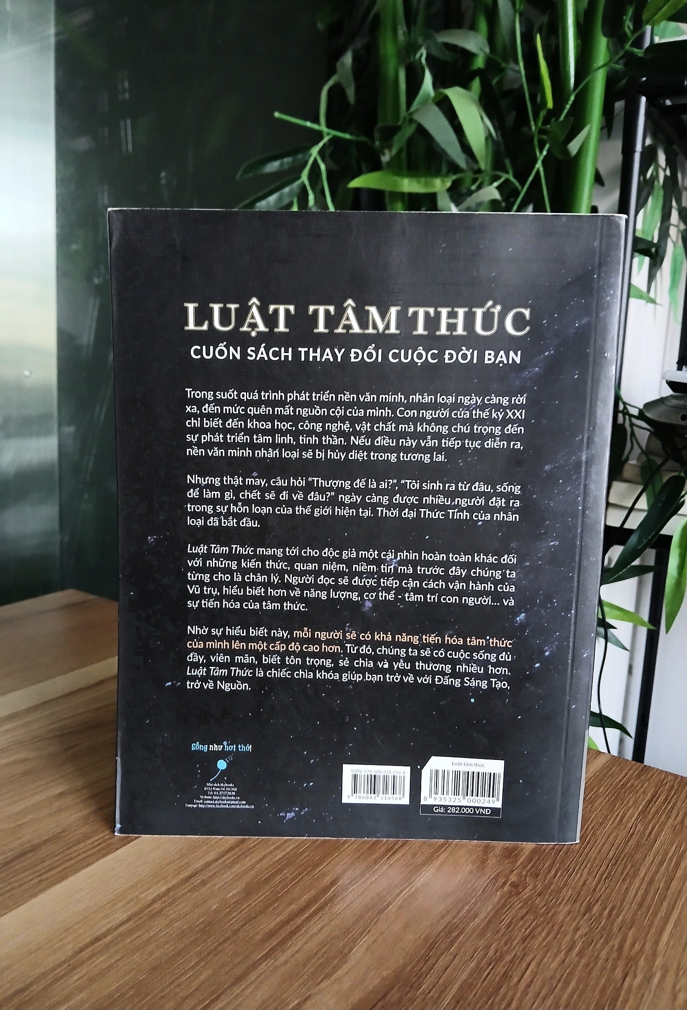 Luật Tâm Thức