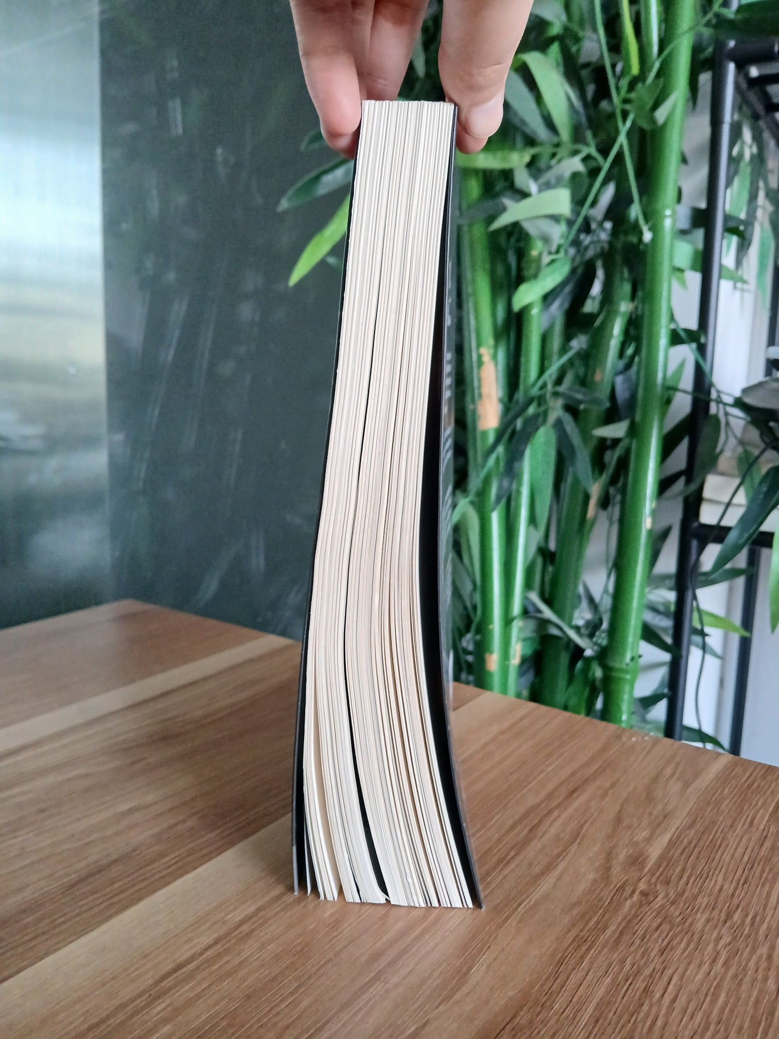 Luật Tâm Thức