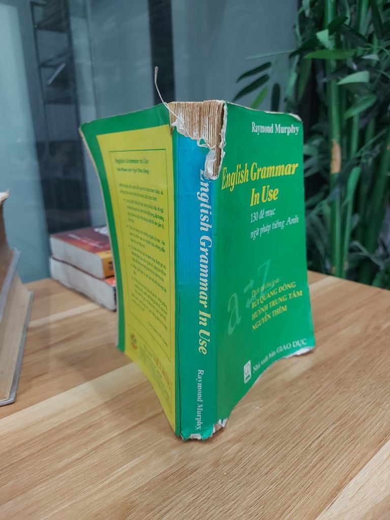 English Grammar In Use – Raymond Murphy - Ảnh thực tế 3