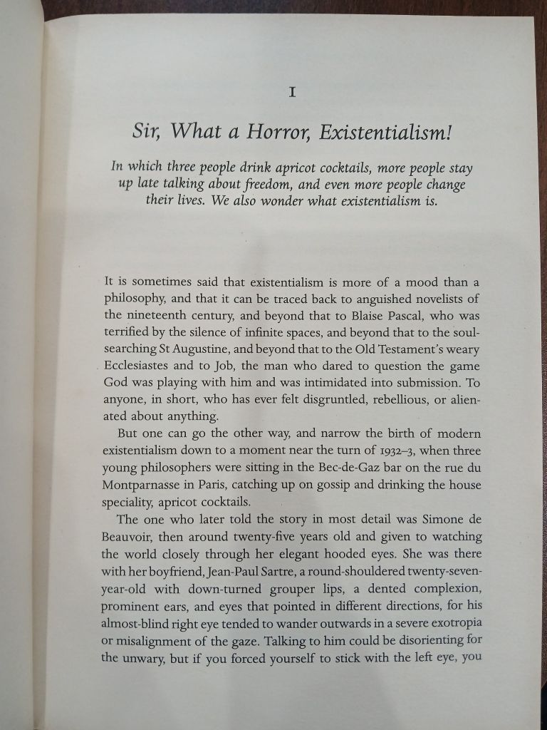 At the Existentialist Café: Freedom, Being & Apricot Cocktails – Sarah Bakewell - Ảnh thực tế 7