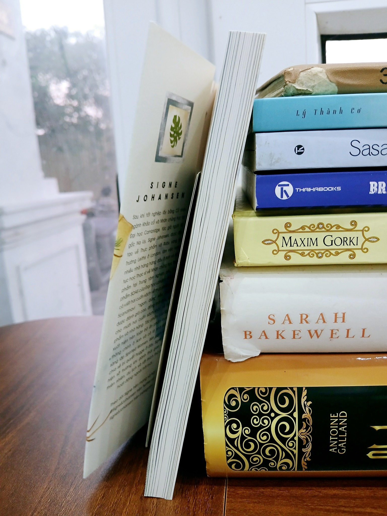Phong Cách Sống Hygge – Signe Johansen