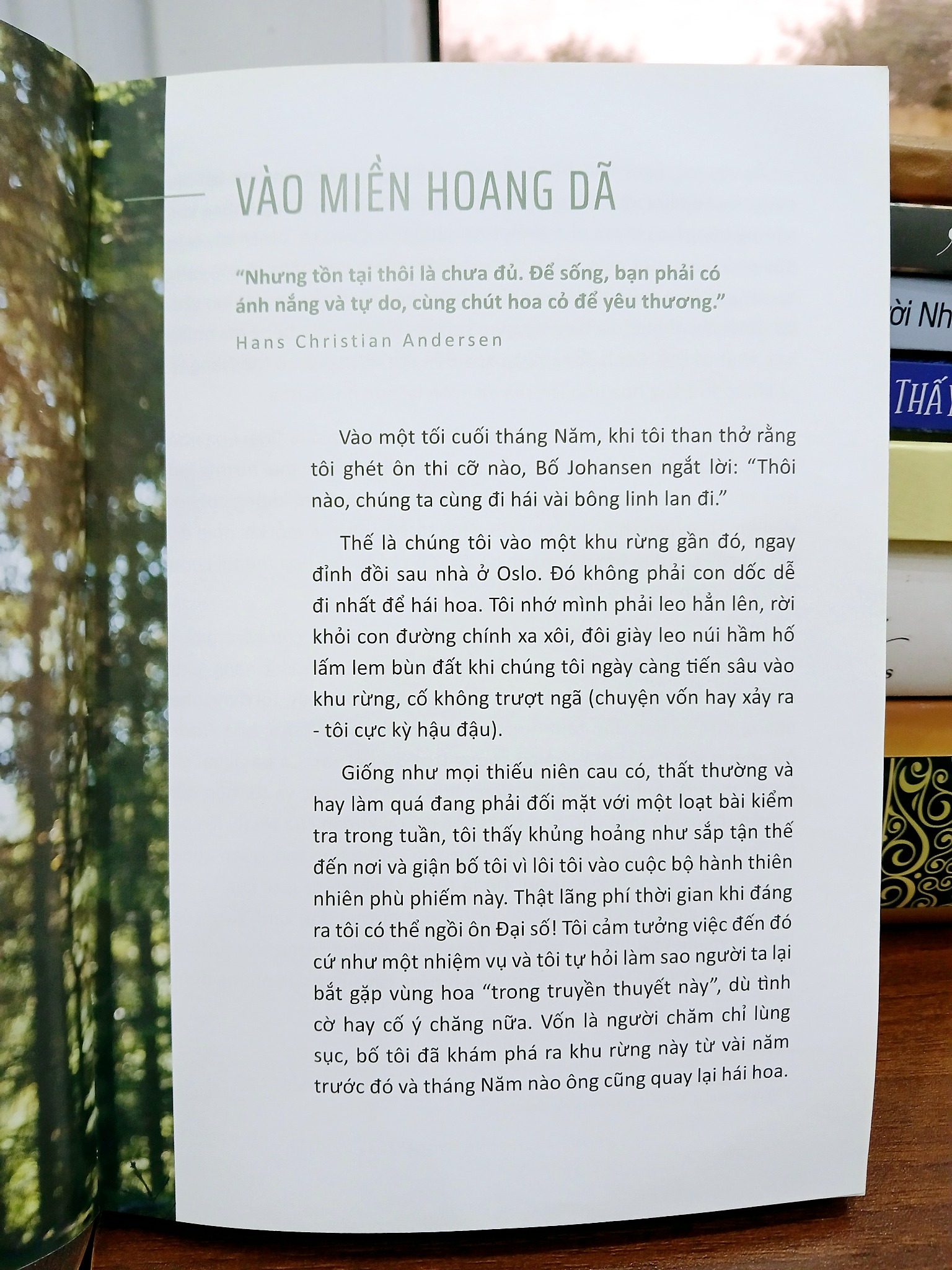 Phong Cách Sống Hygge – Signe Johansen