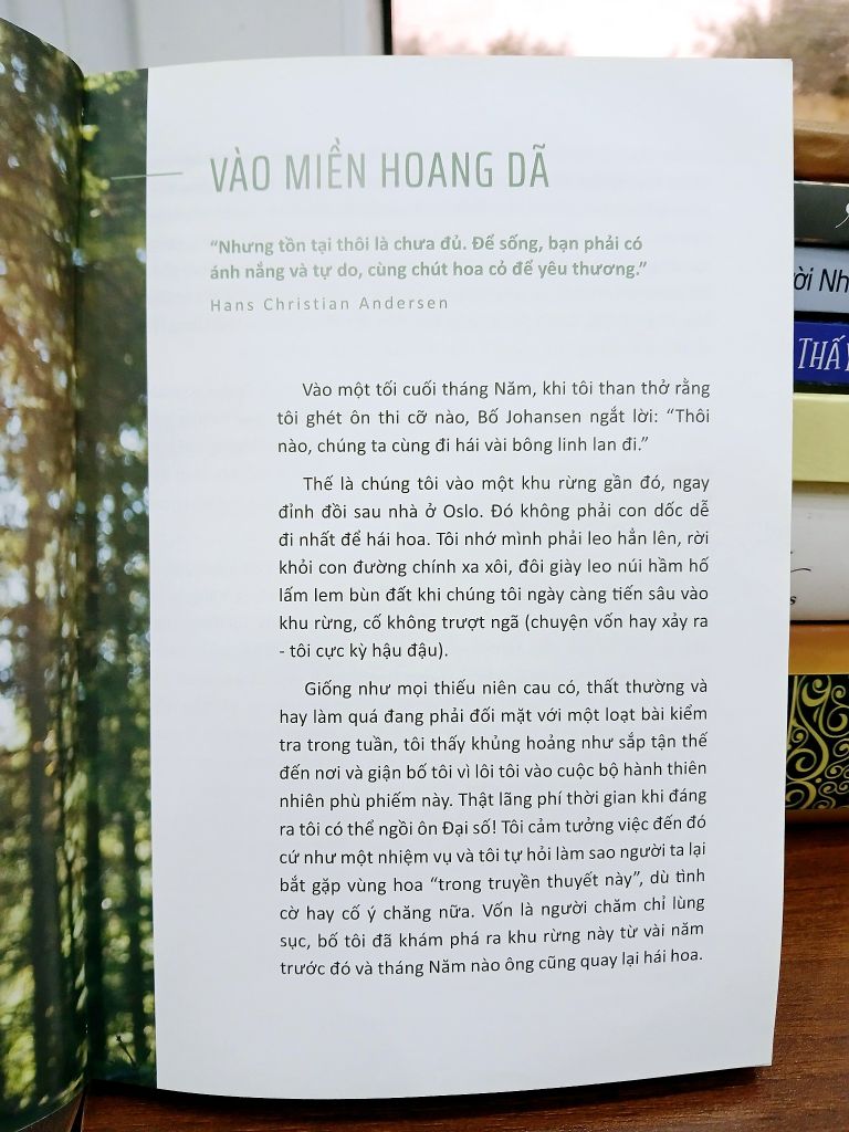 Phong Cách Sống Hygge – Signe Johansen - Ảnh thực tế 8