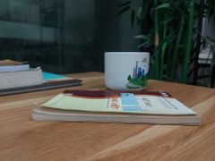 Sổ Tay Chính Tả Tiếng Việt – Nguyễn Đông - ảnh 4