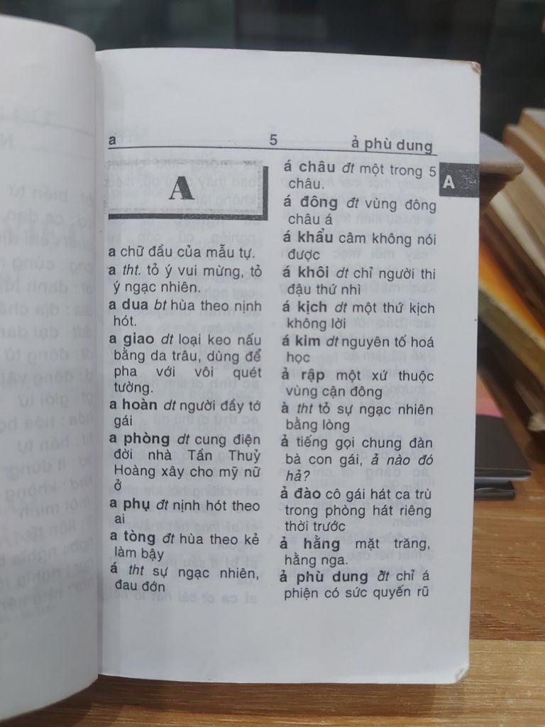 TỪ ĐIỂN TIẾNG VIỆT DÀNH CHO HỌC SINH - Ảnh thực tế 5