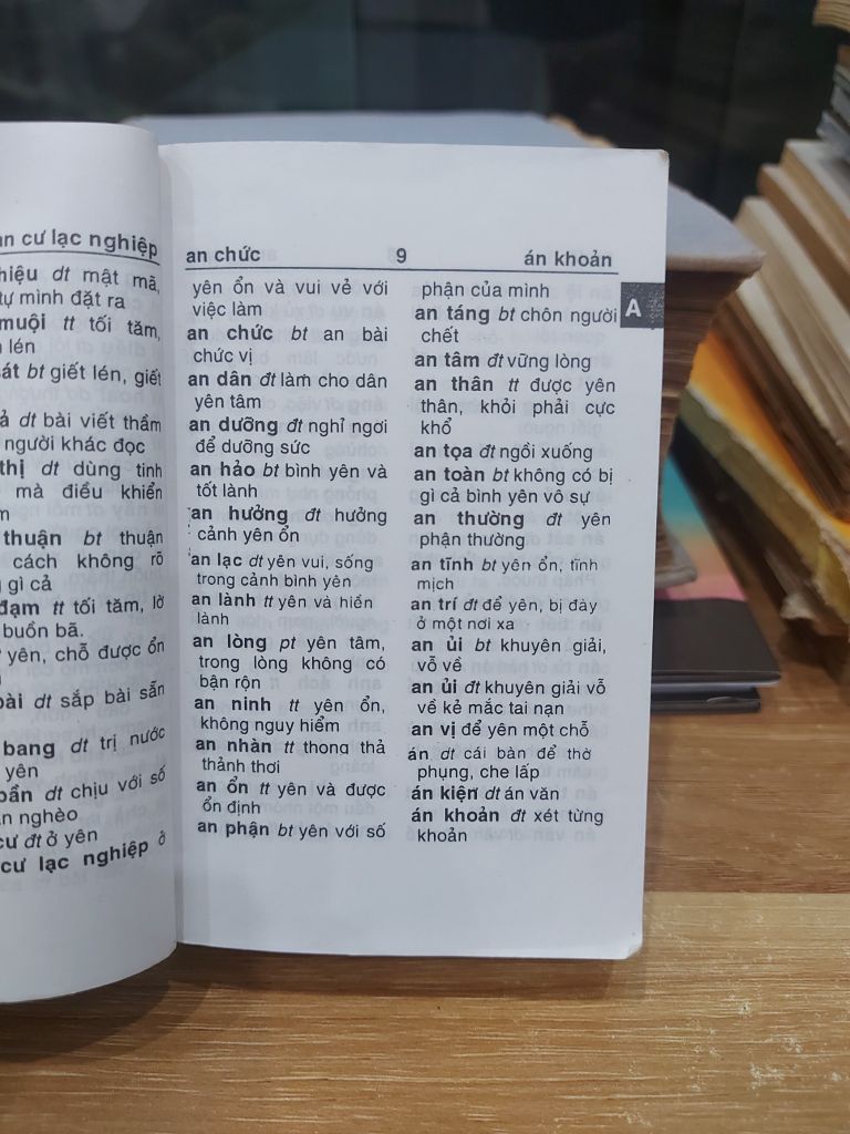 TỪ ĐIỂN TIẾNG VIỆT DÀNH CHO HỌC SINH - Ảnh thực tế 6