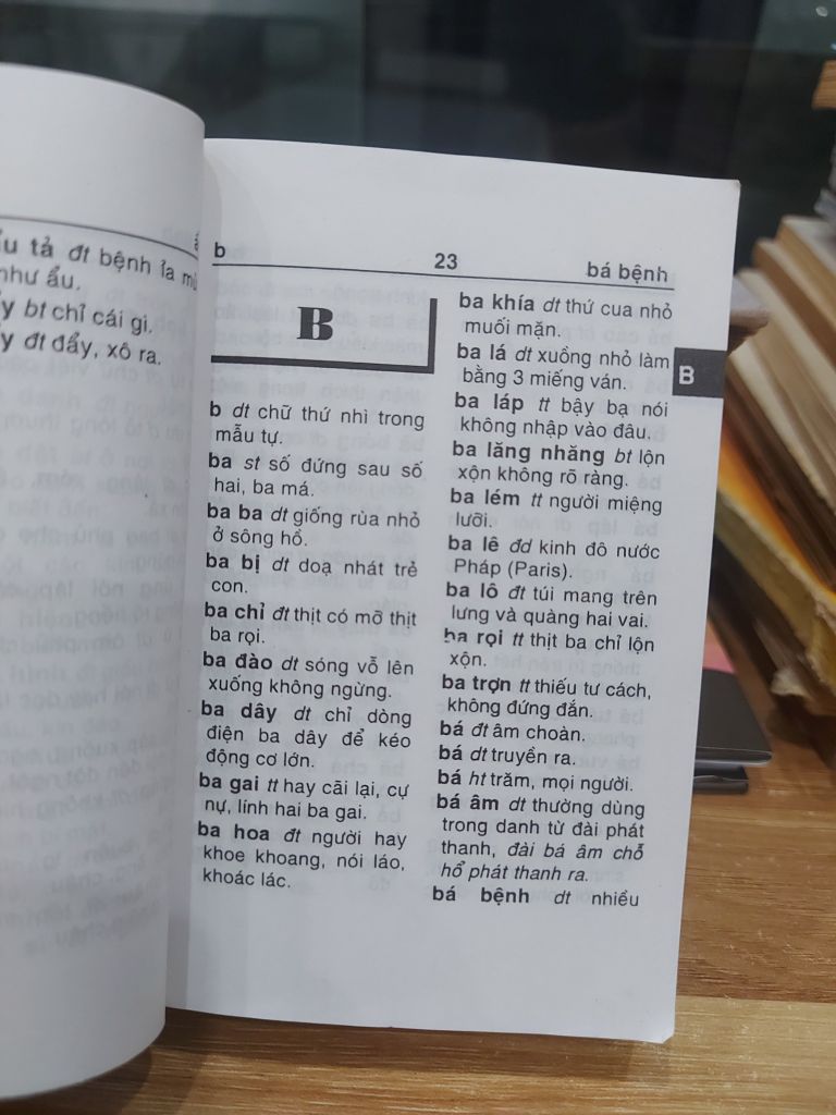 TỪ ĐIỂN TIẾNG VIỆT DÀNH CHO HỌC SINH - Ảnh thực tế 8