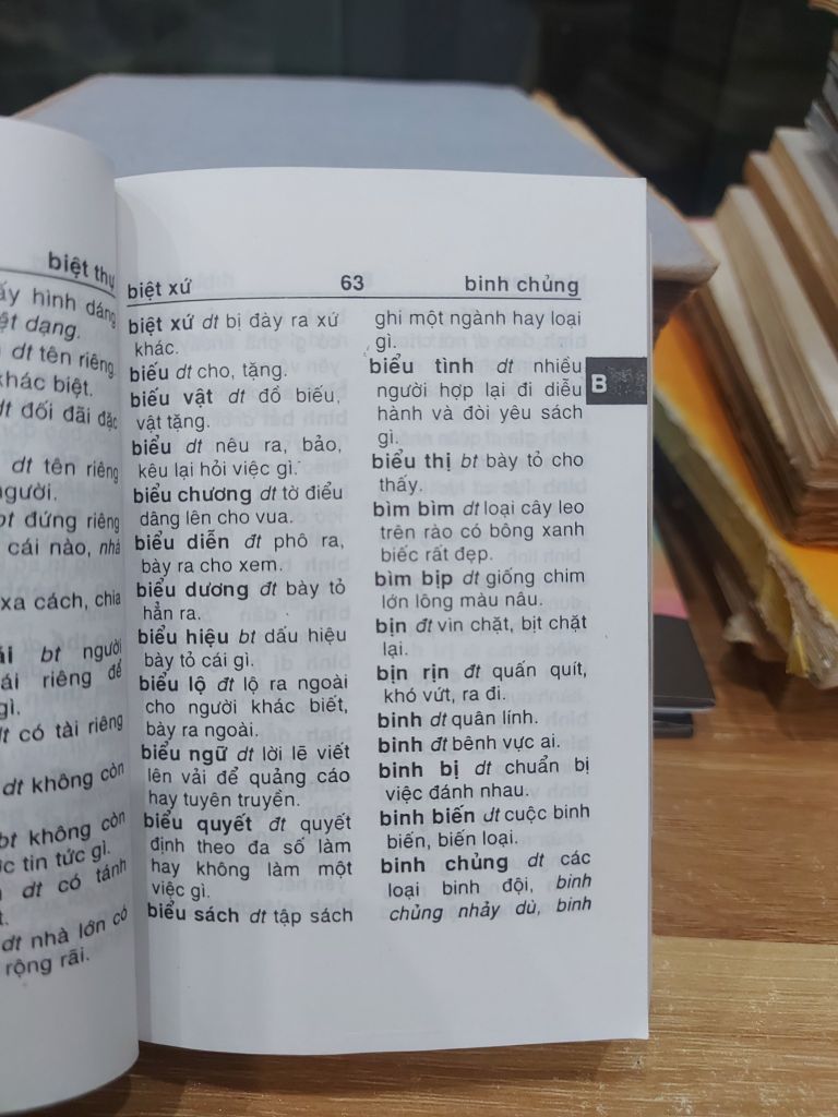 TỪ ĐIỂN TIẾNG VIỆT DÀNH CHO HỌC SINH - Ảnh thực tế 10
