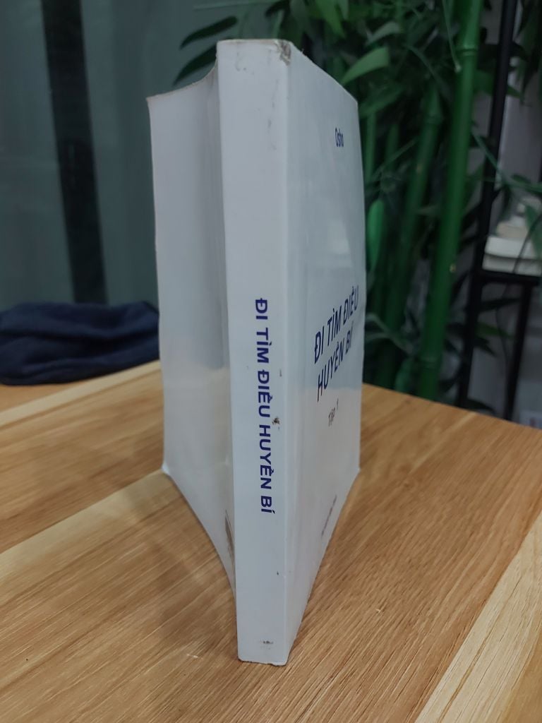 ĐI TÌM ĐIỀU HUYỀN BÍ - Ảnh thực tế 3