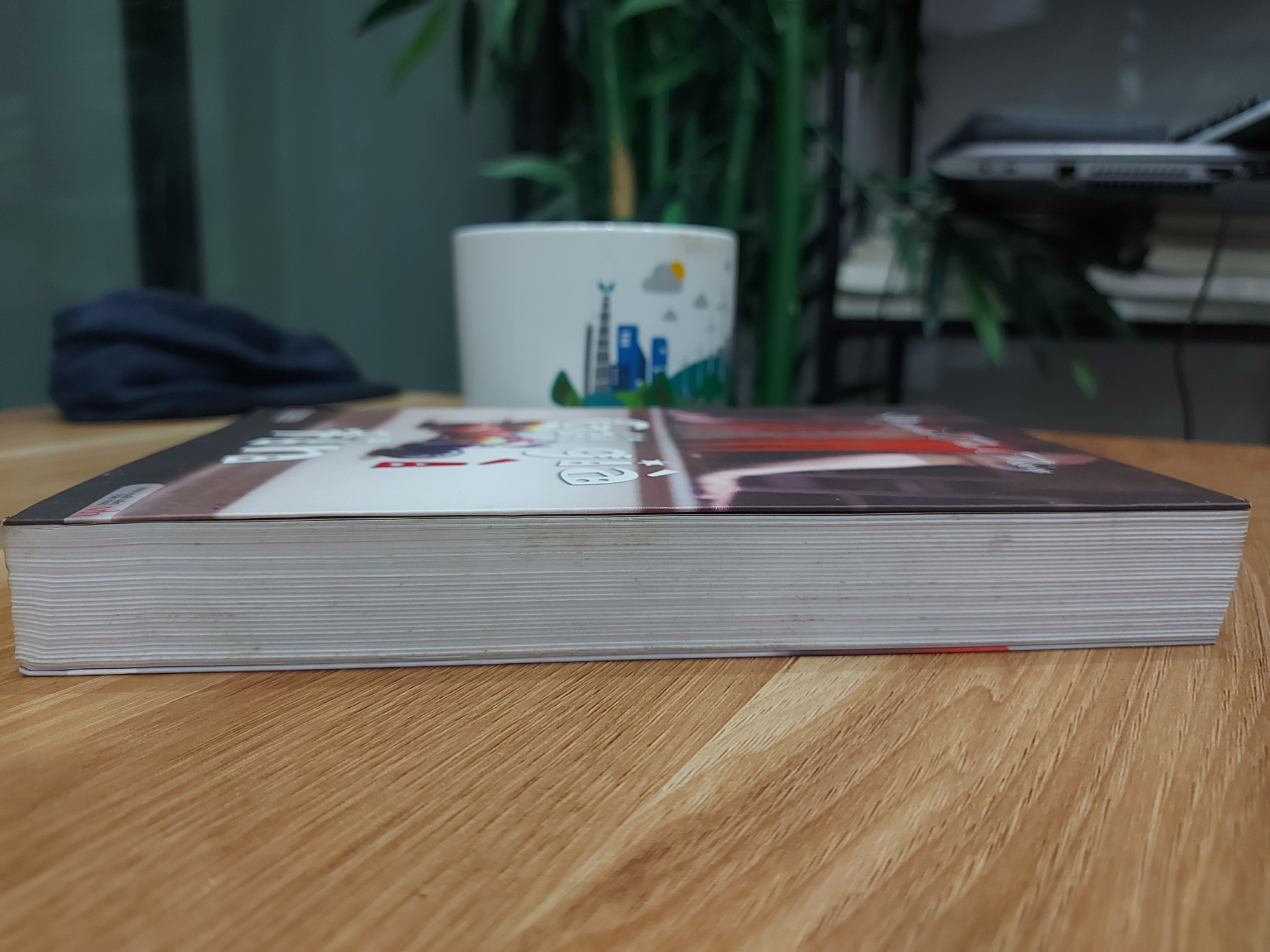 Gái Già Xì Tin - Nguyễn Thu Thủy