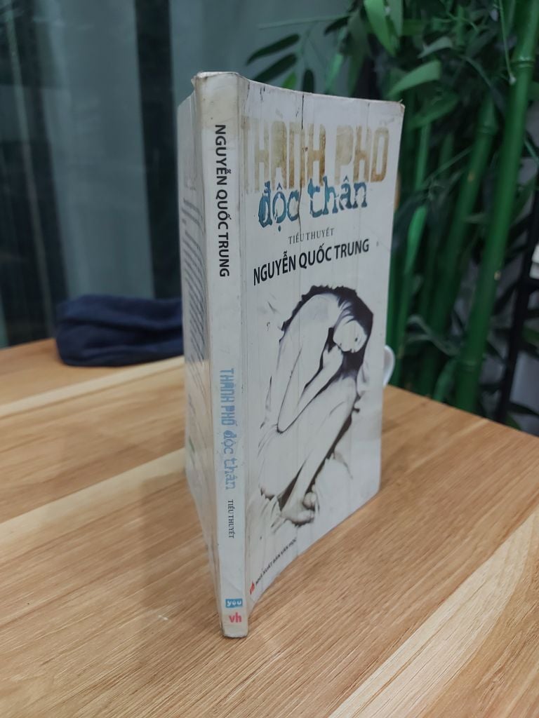 Thành phố độc thân – NGUYỄN QUỐC TRUNG - Ảnh thực tế 3