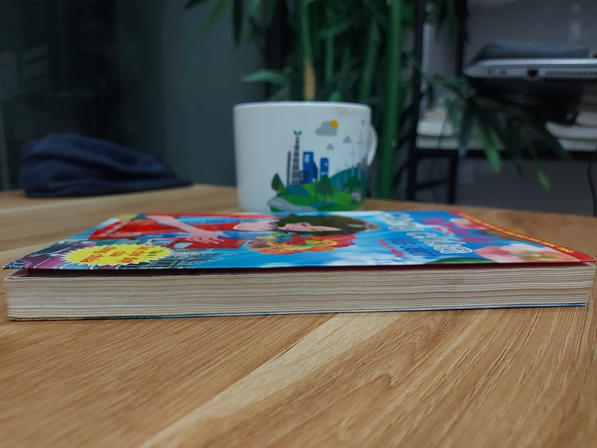 NHẬT KÍ CÔNG CHÚA – MEG CABOT