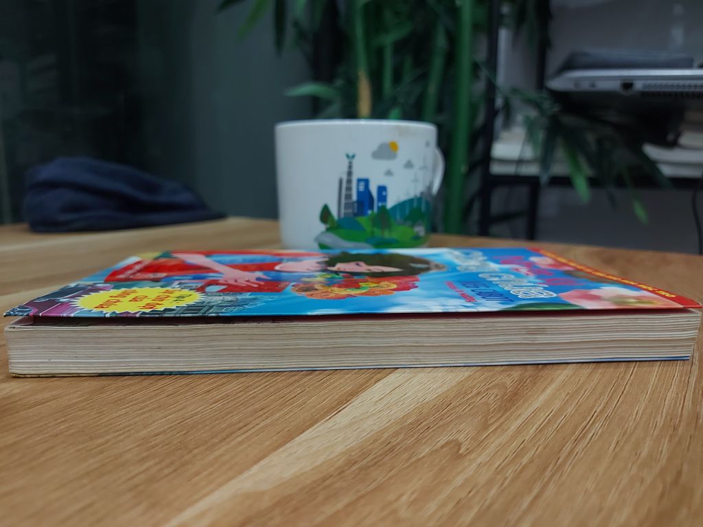 NHẬT KÍ CÔNG CHÚA – MEG CABOT - Ảnh thực tế 4