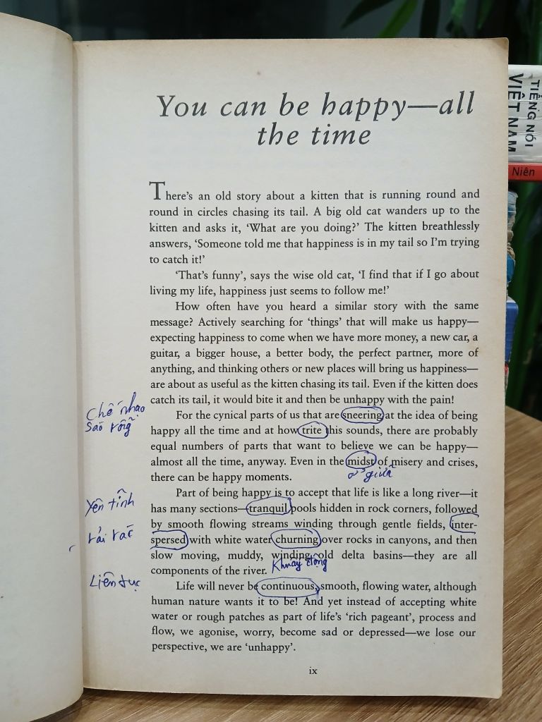 You Can Be Happy – Amanda Gore - Ảnh thực tế 9