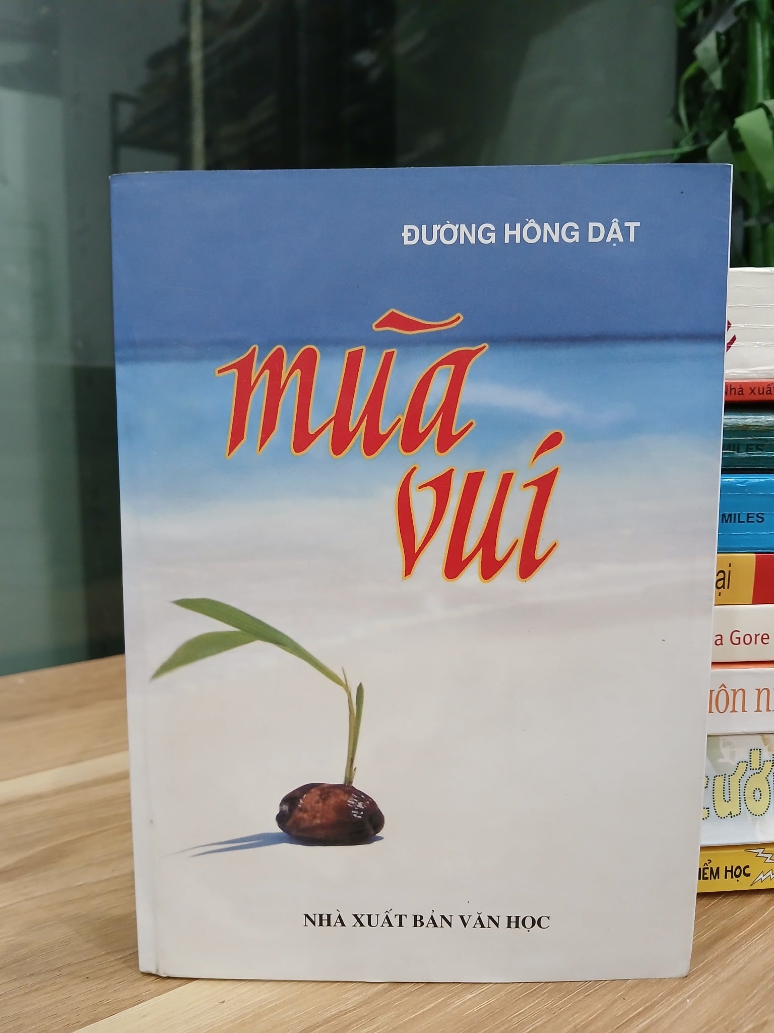 Mùa Vui – Đương Hồng Dật