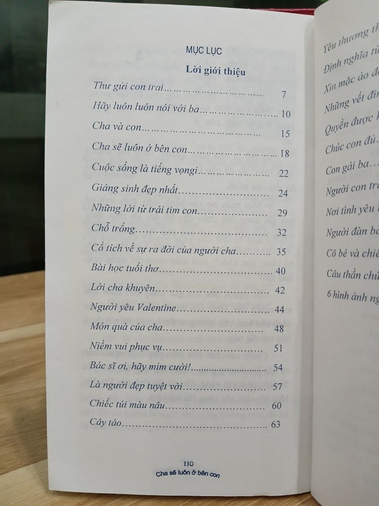 Cha sẽ luôn bên con - Nhiều Tác Giả - Ảnh thực tế 8