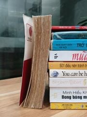 Thơ Văn Tiếng Việt - ảnh 3