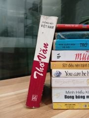 Thơ Văn Tiếng Việt - ảnh 4