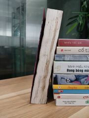 Cô nàng Sư tử – Julie Garwood - ảnh 3
