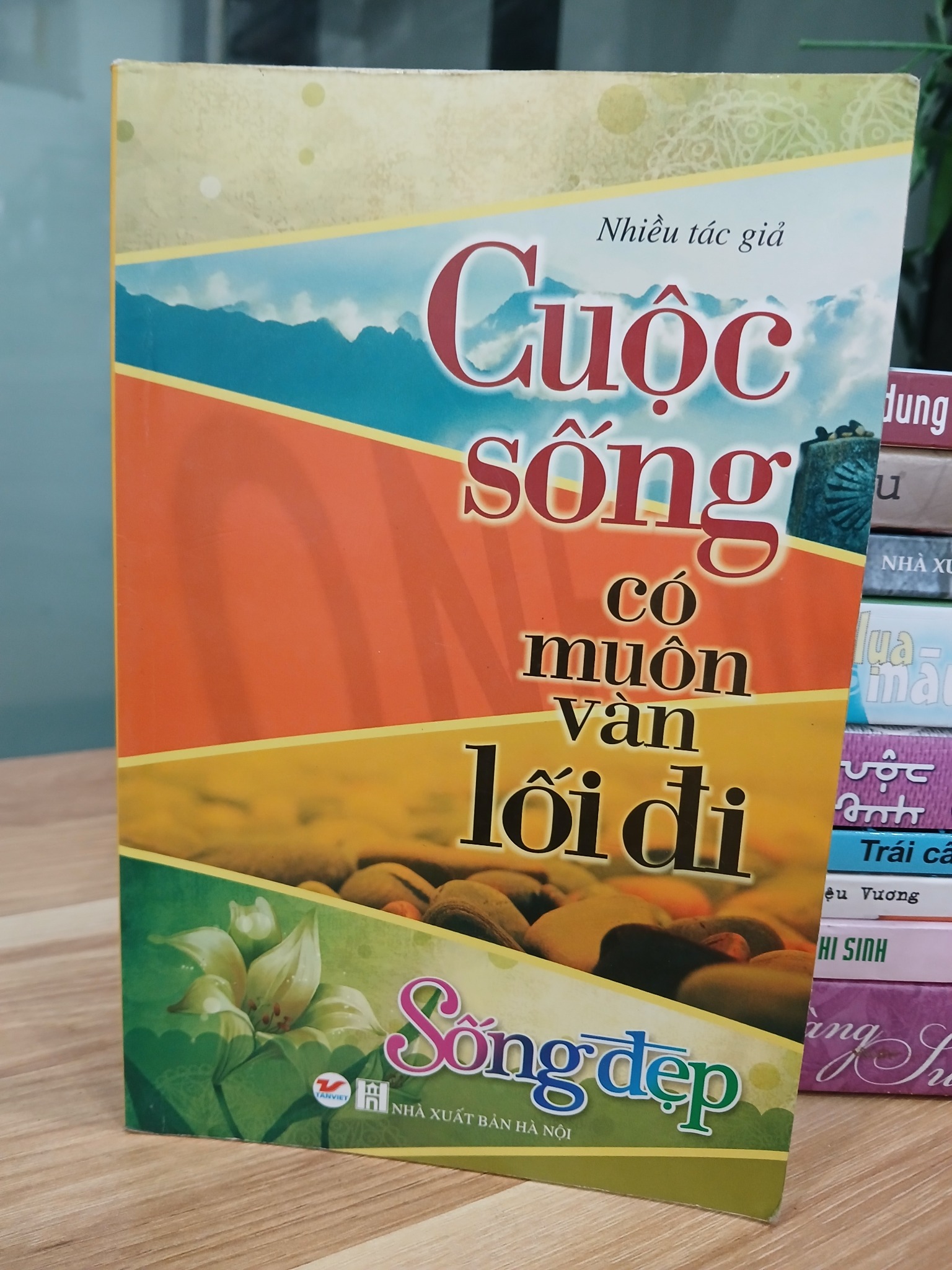 Cuộc sống có muôn vàn lối đi – Nhiều tác giả