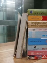 Phải lấy người như anh – Trần Thu Trang - ảnh 4