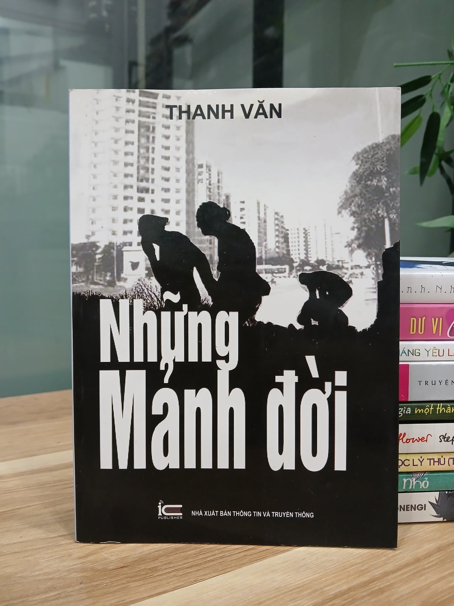 Những mảnh đời – Thanh Vân