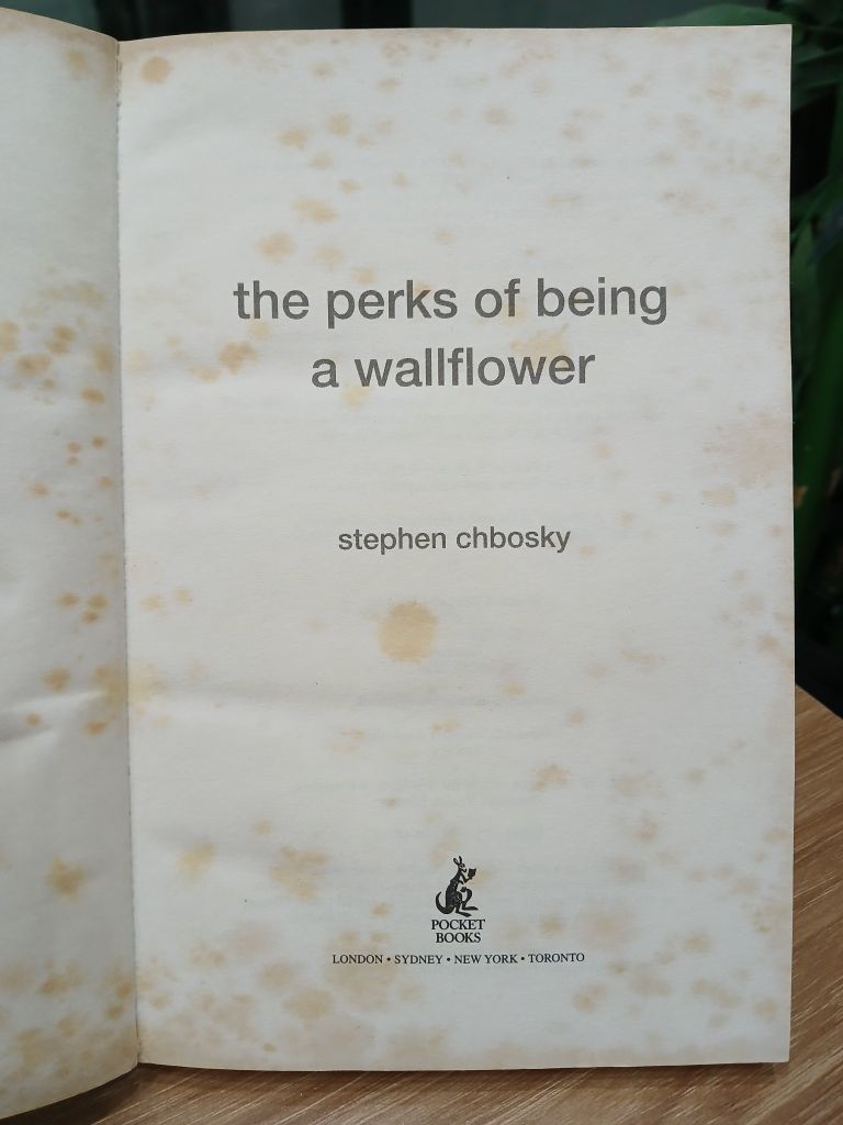 The Perks of Being a Wallflower – Stephen Chbosky - Ảnh thực tế 5
