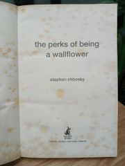 The Perks of Being a Wallflower – Stephen Chbosky - ảnh 5