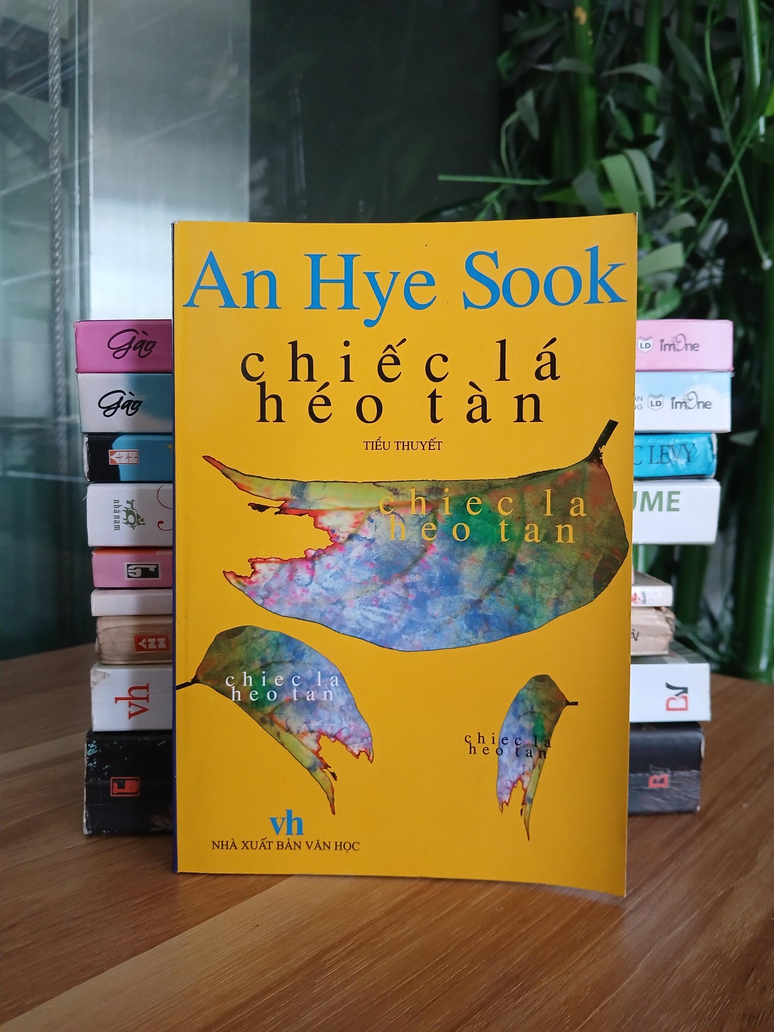Chiếc lá héo tàn – An Hye Sook