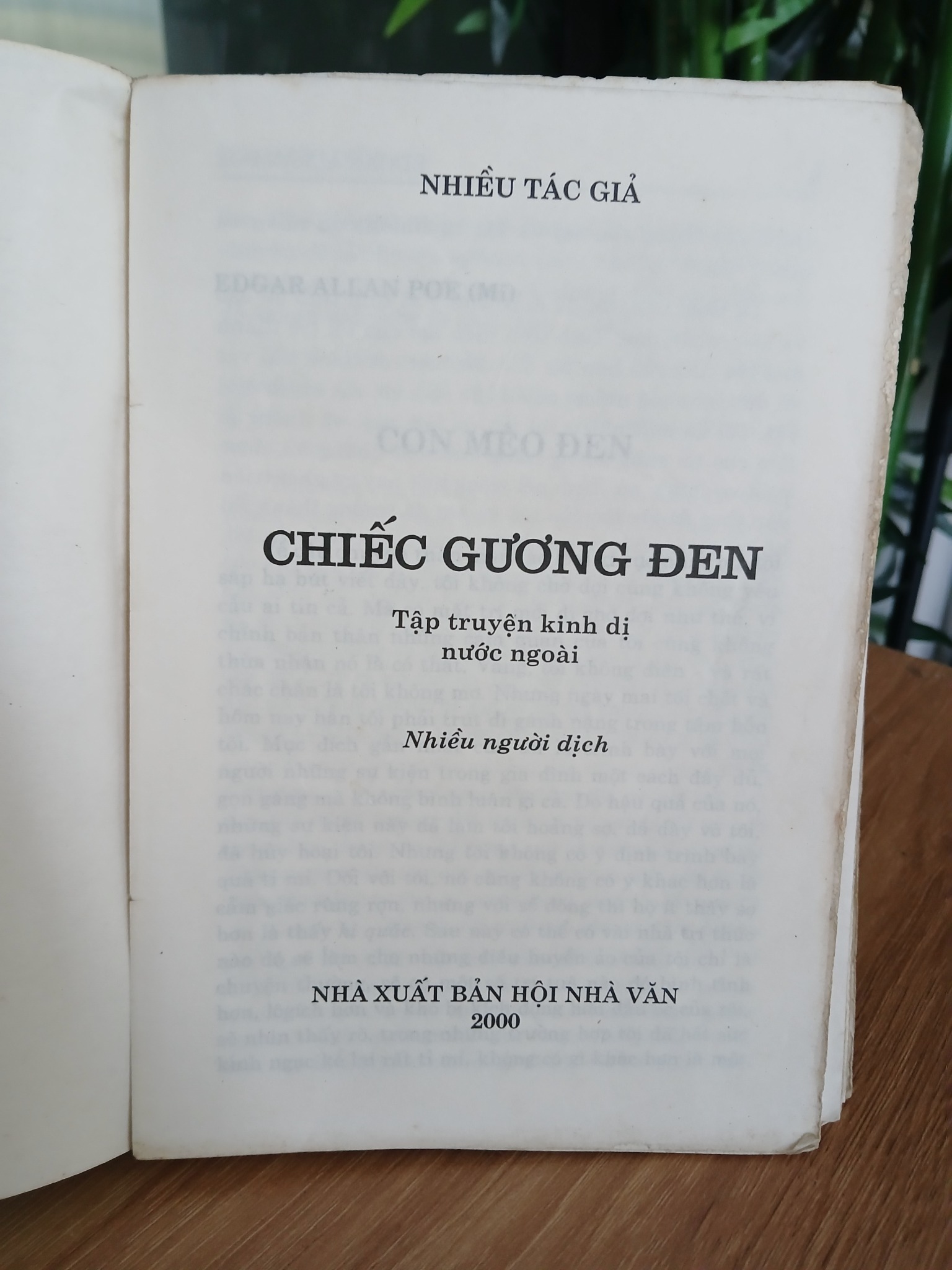 Chiếc gương đen – Tập truyện kinh dị nước ngoài