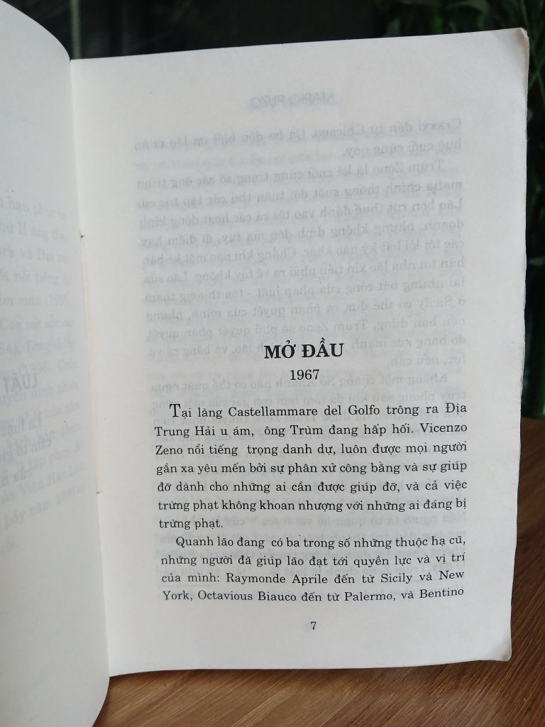 Luật im lặng – Mario Puzo - Ảnh thực tế 6