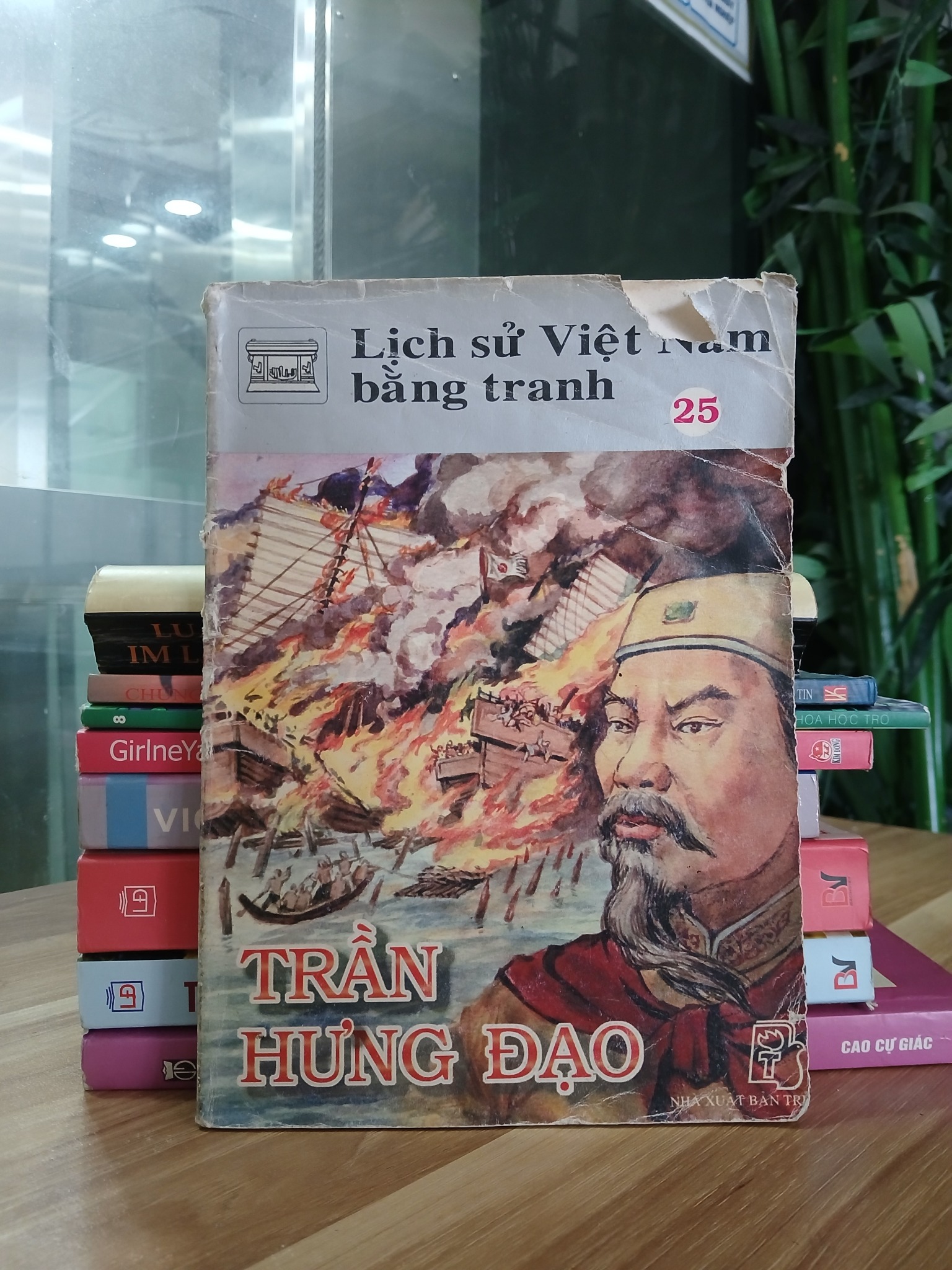 Lịch sử Việt Nam bằng tranh – NXB Trẻ
