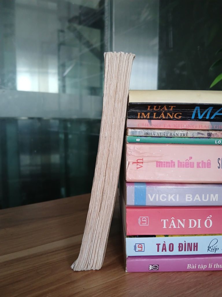 Con riêng của bá tước phu nhân – Patricia Robins - Ảnh thực tế 3