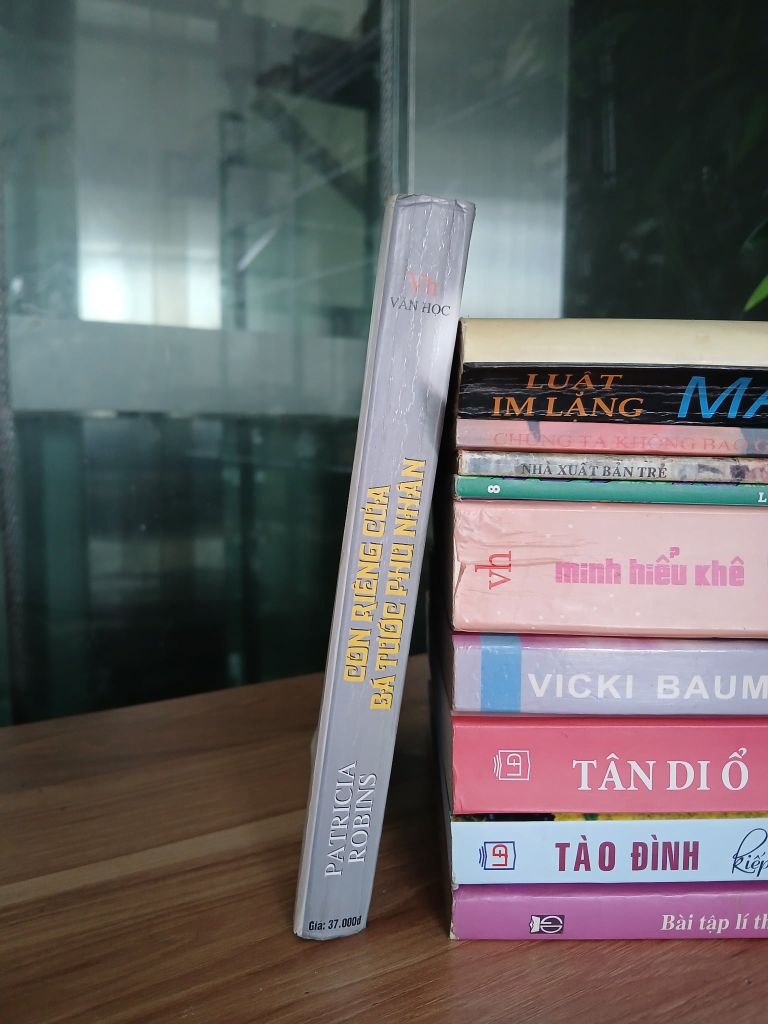 Con riêng của bá tước phu nhân – Patricia Robins - Ảnh thực tế 4