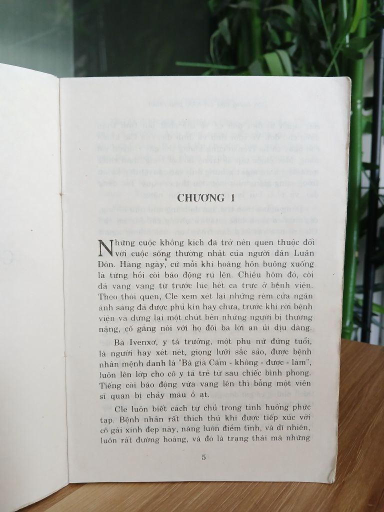 Con riêng của bá tước phu nhân – Patricia Robins - Ảnh thực tế 6