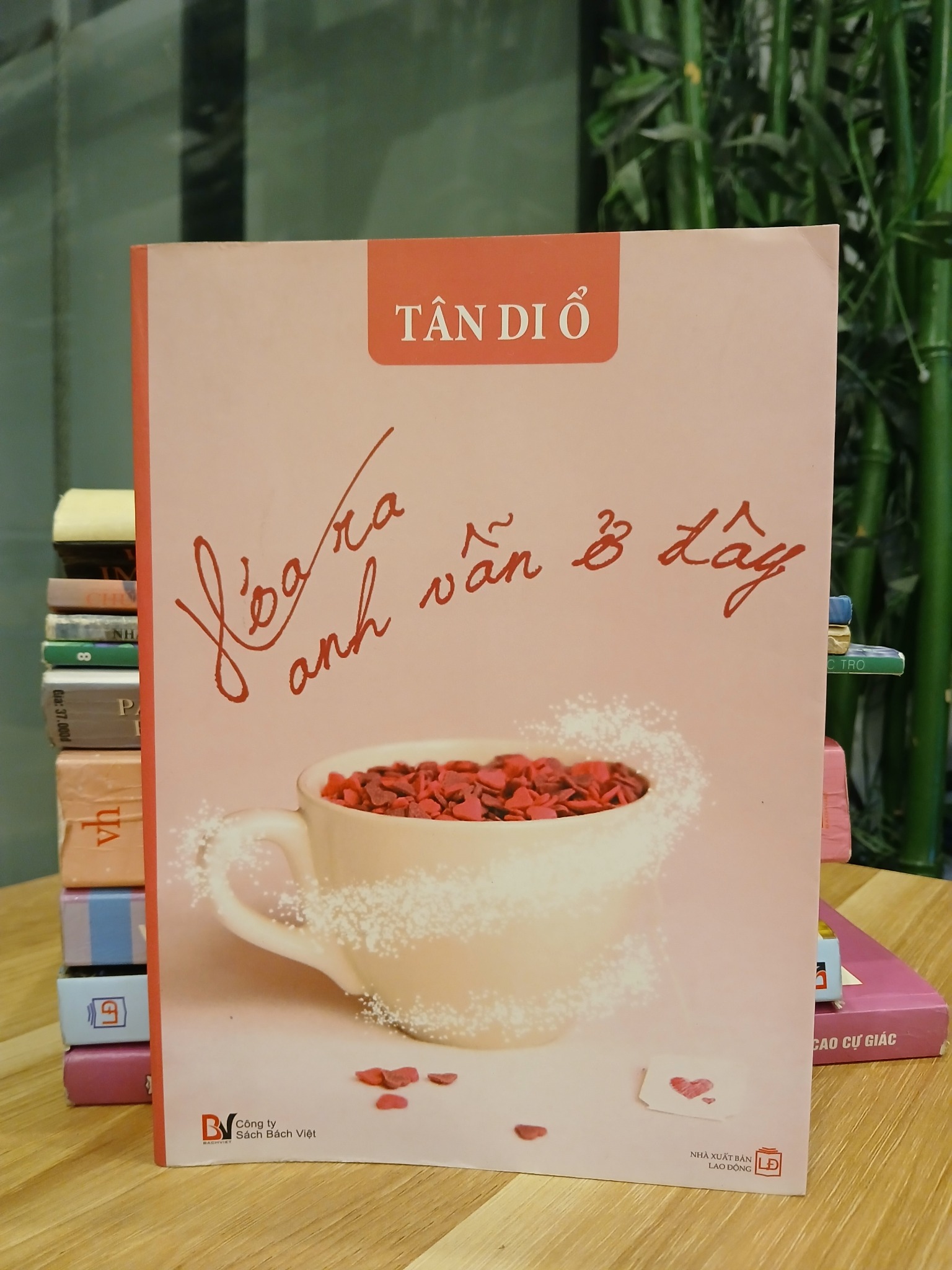 Hóa ra anh vẫn ở đây – Tân Di Ổ