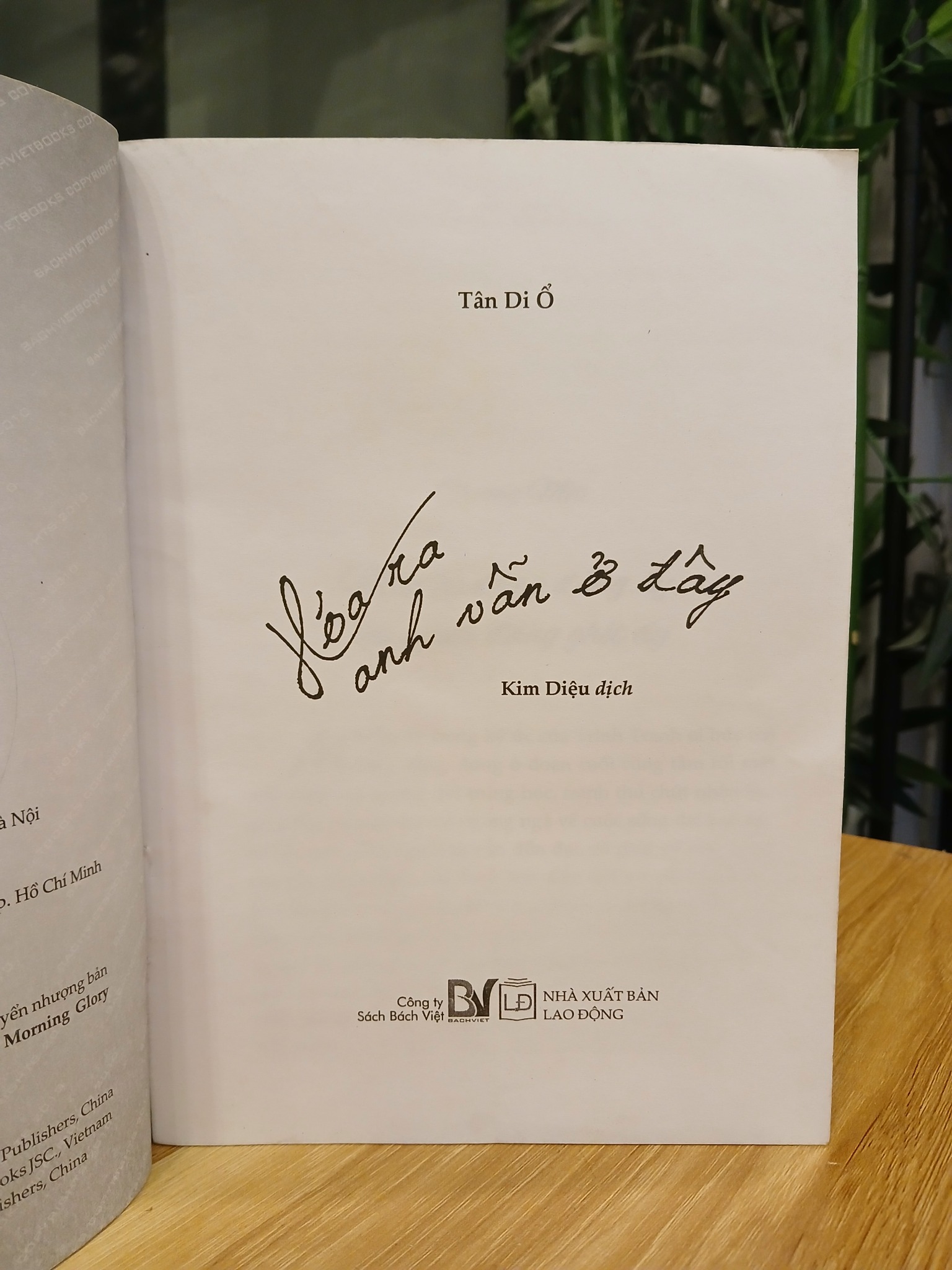 Hóa ra anh vẫn ở đây – Tân Di Ổ