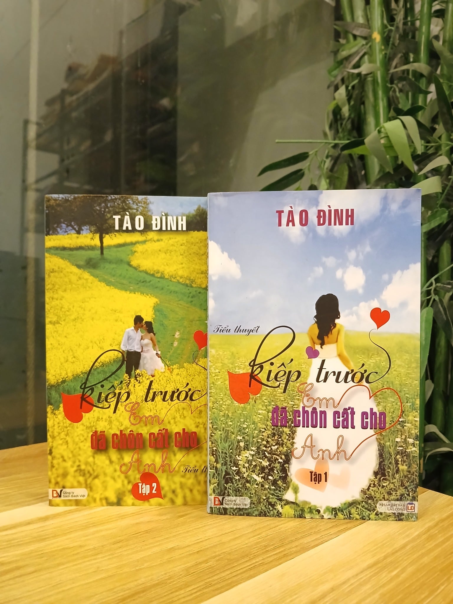Kiếp trước em đã chọn cất cho anh – Tập 2 – Tào Đình