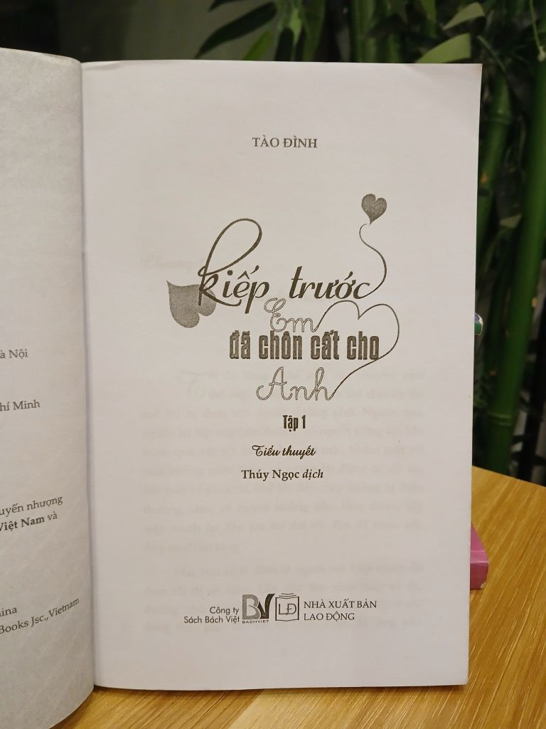 Kiếp trước em đã chọn cất cho anh – Tập 2 – Tào Đình - Ảnh thực tế 4