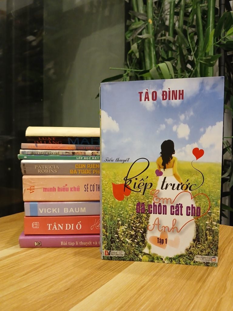 Kiếp trước em đã chọn cất cho anh – Tập 2 – Tào Đình - Ảnh thực tế 9