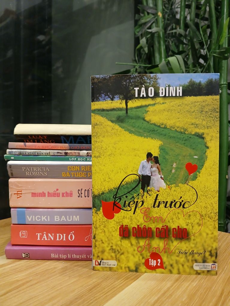 Kiếp trước em đã chọn cất cho anh – Tập 2 – Tào Đình - Ảnh thực tế 10